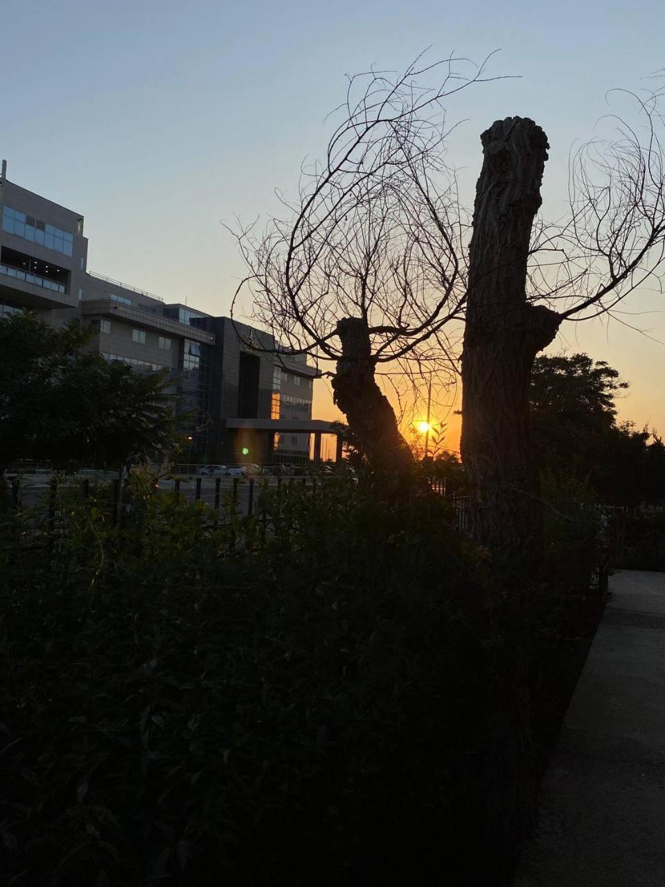 Mang'O Hostel アクタウ エクステリア 写真